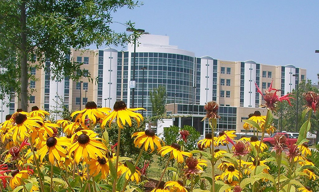 Projects East Carolina Heart Institute